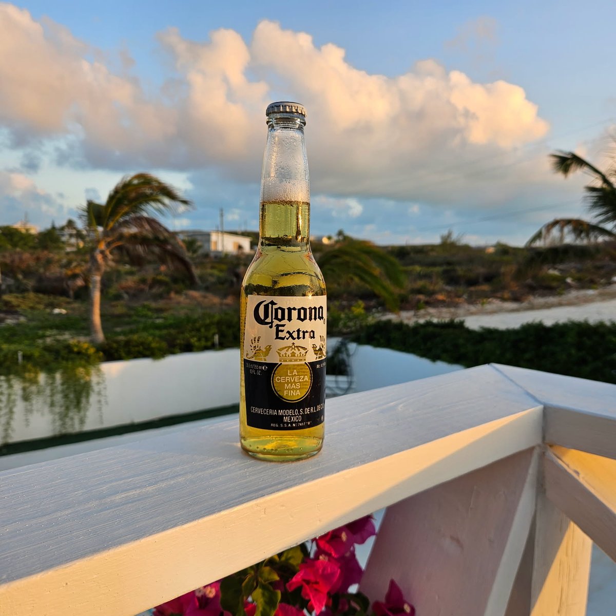 🌴 ☀️ The closest you can get to this experience this weekend is Joe's.
See you soon!

#patioseason #eatatjoes #drinkatjoes #corona