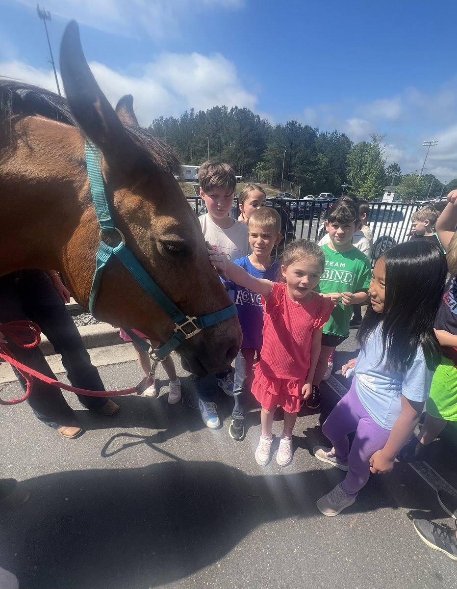 Center for Career Innovation tweet media