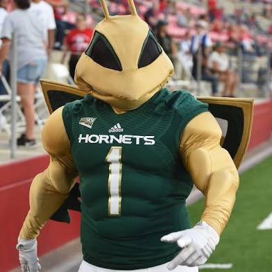 Jayce Halasz (@jaycehalasz1) on Twitter photo After a great conversation with <a href="/coachapatterson/">AC Patterson</a> I’m extremely blessed to say I have received my second D1 offer from Sacramento State! 🐝#GoGoSacramento
<a href="/WAAirRaid/">WAR - Washington Air Raid</a> <a href="/risefootball_/">RISE Football 🏈</a> <a href="/GKHSfootball/">GK Eagles Football</a> <a href="/jml51190/">Jeff Logan</a> <a href="/BrandonHuffman/">Brandon Huffman</a> <a href="/DVSP87/">Darryl Anthony-Dillard Valdez Jr</a> After a great conversation with <a href="/coachapatterson/">AC Patterson</a> I’m extremely blessed to say I have received my second D1 offer from Sacramento State! 🐝#GoGoSacramento
<a href="/WAAirRaid/">WAR - Washington Air Raid</a> <a href="/risefootball_/">RISE Football 🏈</a> <a href="/GKHSfootball/">GK Eagles Football</a> <a href="/jml51190/">Jeff Logan</a> <a href="/BrandonHuffman/">Brandon Huffman</a> <a href="/DVSP87/">Darryl Anthony-Dillard Valdez Jr</a>
