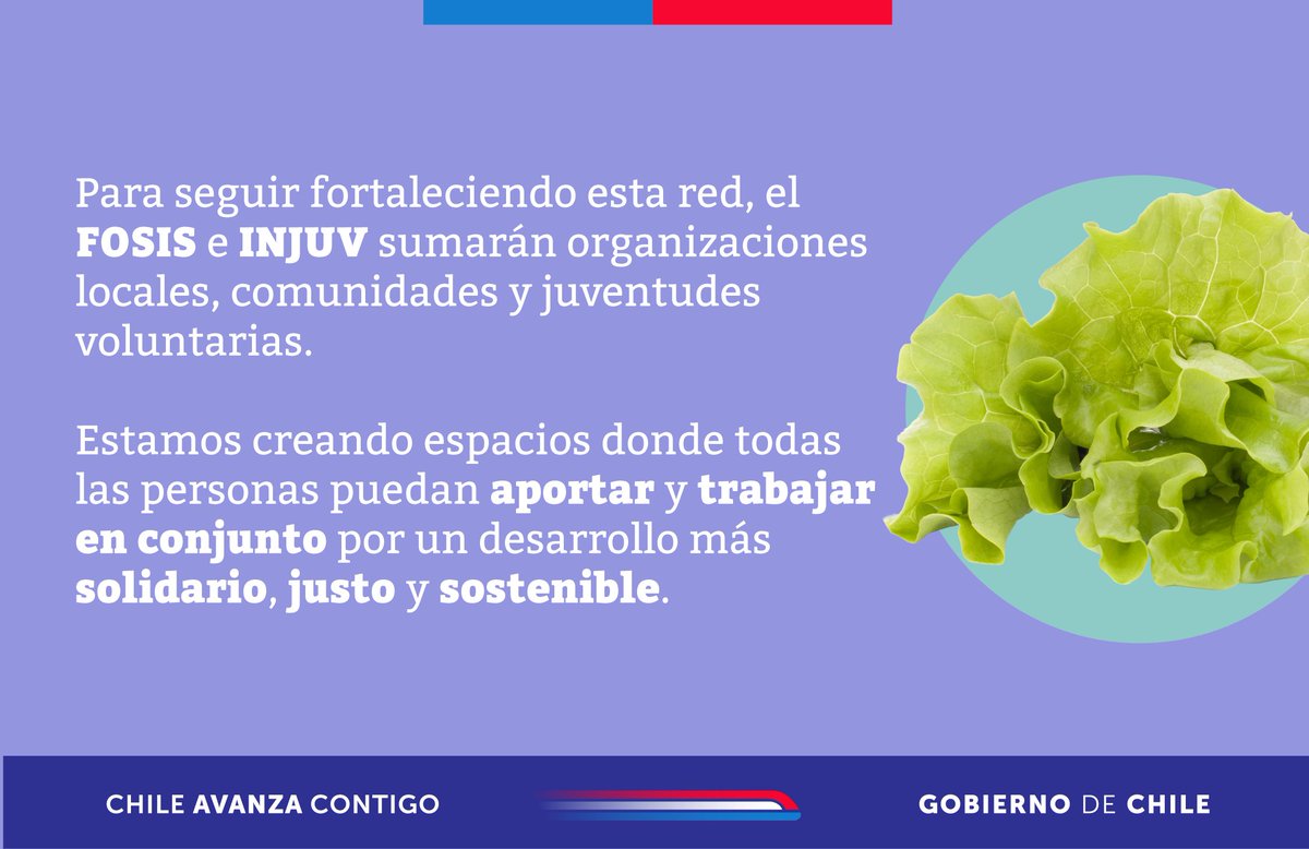 InjuvChile's tweet photo. ¡Nos sumamos a los EcoMercados Solidarios! 🌱 Desde ahora, las juventudes también serán partícipes de estas instancias, que tienen como finalidad trabajar por un futuro más justo y sostenible. Muy pronto te contaremos cómo participar. ¡Síguenos para no perderte nada! ♻️✨ https://t.co/mBTnsHCrWW