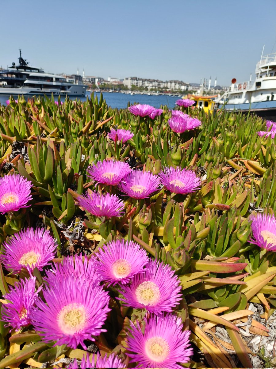 "Yolculuk, varacağın yerle değil; yolda gördüklerinle, hissettiklerinle ve değiştiklerinle anlam kazanır. "