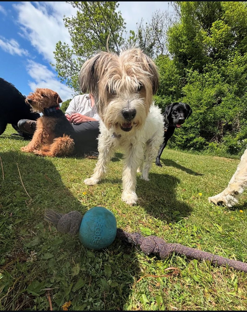 James Dreyfus tweet media