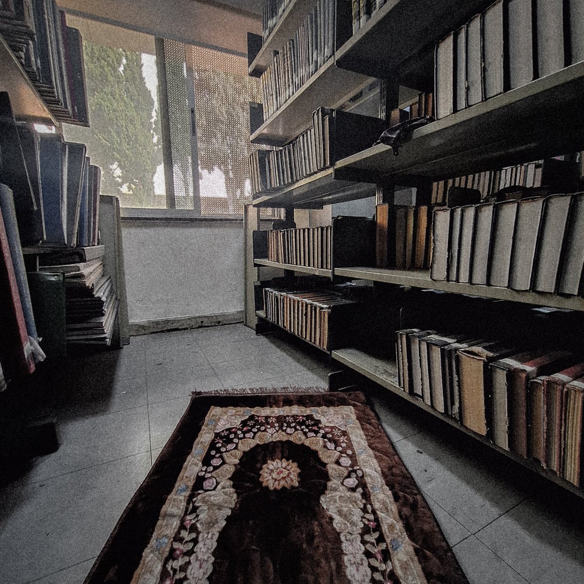 وآتِ نُفوسنا تَقواها وزكّها أنتَ خير من زكّاها أنتَ وليُّها ومَولاها🤍🌿

📍مكتبة الجامعة الأردنية