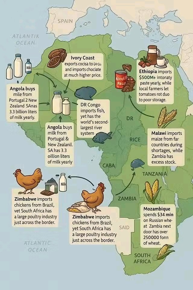 Africa, what's the purpose of these Blocks like SADC and AU?