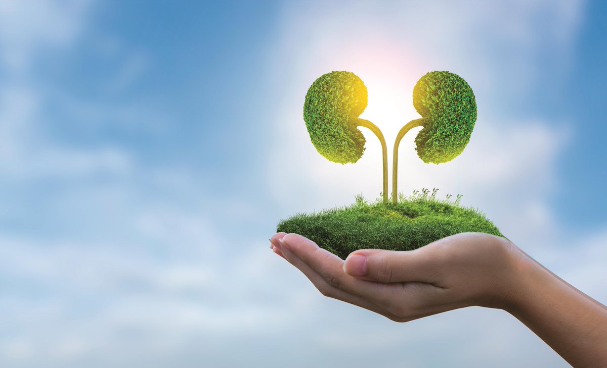 ASN Publications (@asnpublications) on Twitter photo This #ASNKidneyNews special section on green nephrology brings together insights from experts advocating responsible innovation in kidney care, balancing clinical efficacy with ecological stewardship. Co-edited by <a href="/gudnephron/">Prakash (Pra…Cash) Gudsoorkar (Good..Soor..Kar)</a> and <a href="/ClaraGCarro/">Clara García Carro</a>.
Explore the articles: This #ASNKidneyNews special section on green nephrology brings together insights from experts advocating responsible innovation in kidney care, balancing clinical efficacy with ecological stewardship. Co-edited by <a href="/gudnephron/">Prakash (Pra…Cash) Gudsoorkar (Good..Soor..Kar)</a> and <a href="/ClaraGCarro/">Clara García Carro</a>.
Explore the articles: