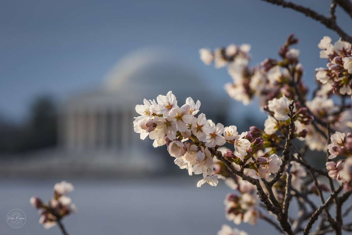 TGIFL! The Washington Post is hiring a staff photographer, Women Photograph is accepting applications for mentorship program, and more in Friday Links.
 
exposeddc.com/2025/05/09/fri…

📷: Kevin Burns