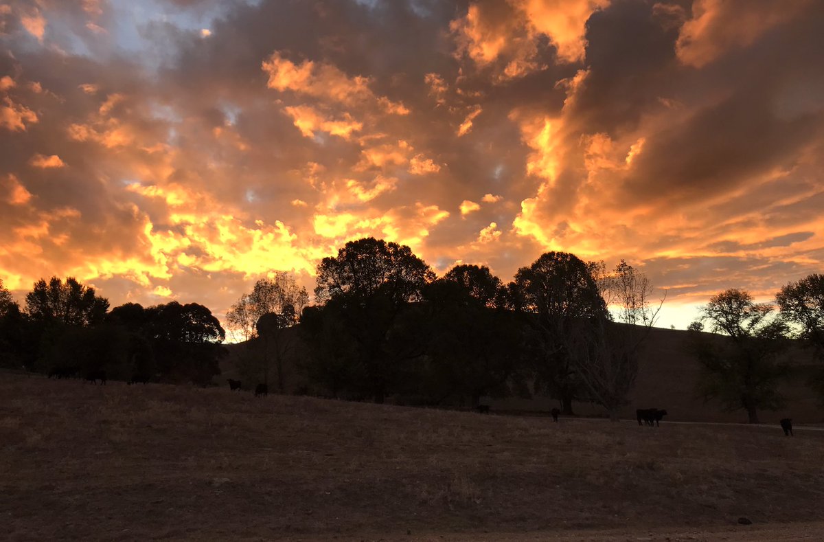 Cazzonator's tweet photo. Beautiful sky! https://t.co/8viWPFIeqj