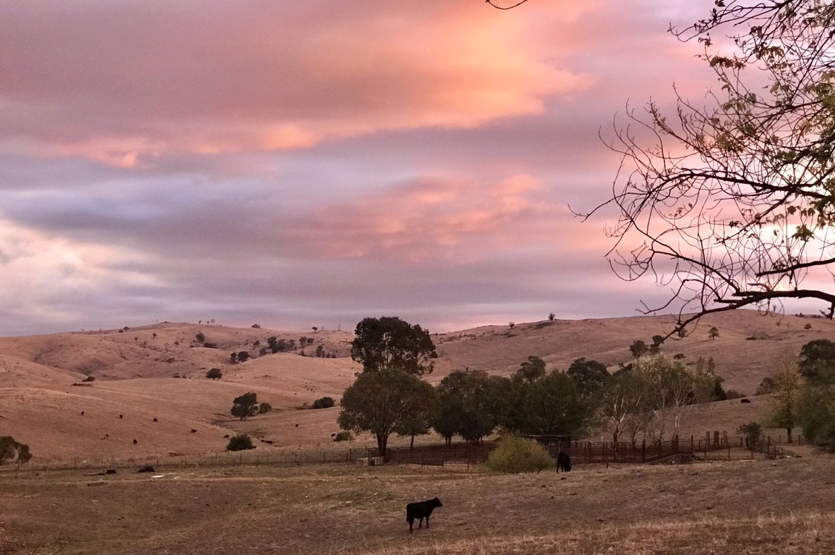 Cazzonator's tweet photo. Beautiful sky! https://t.co/8viWPFIeqj