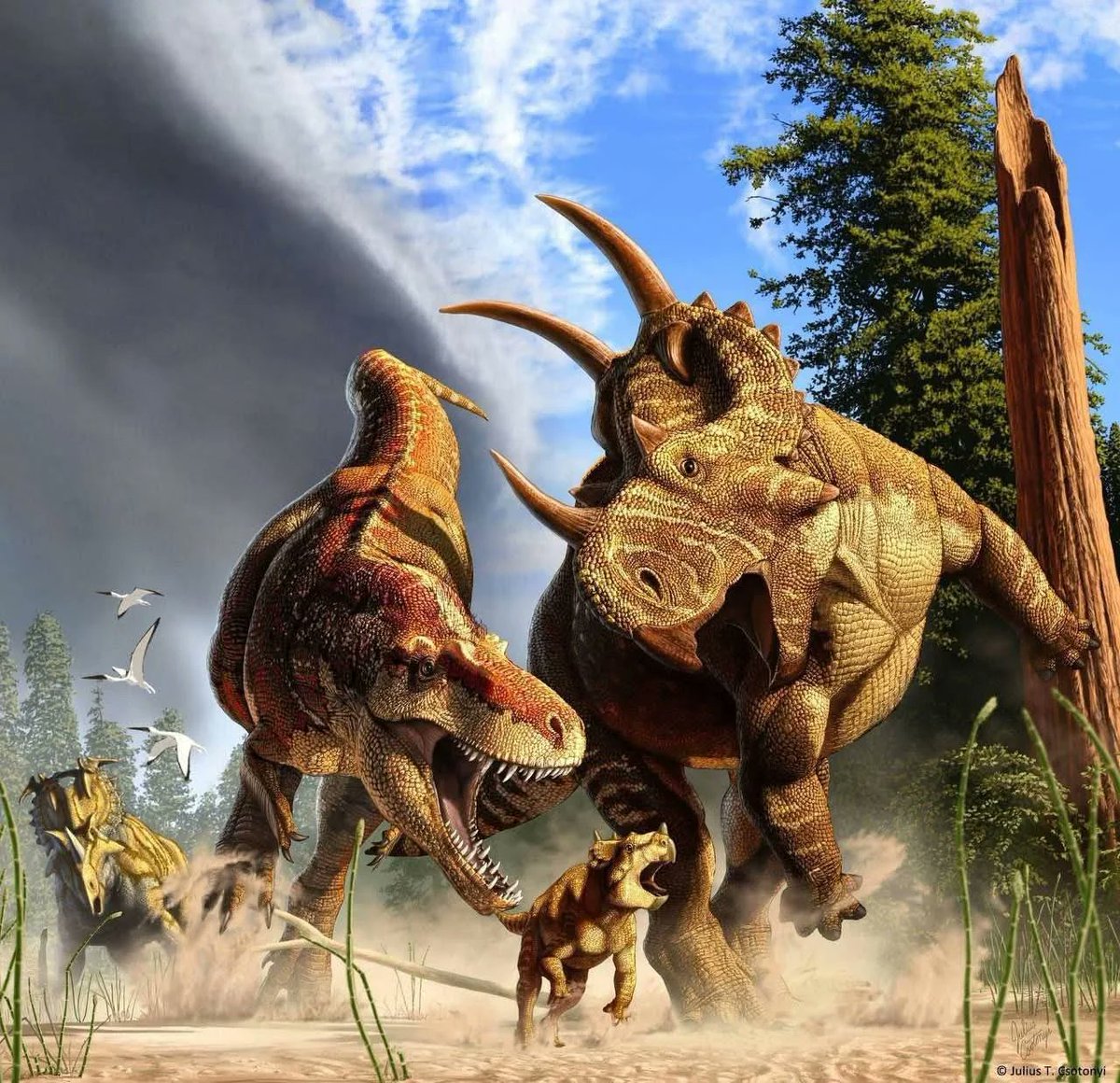 CorporalRex's tweet photo. Can't believe I've never heard of Spinops, or that it lived with Daspletosaurus... I want to see more of them now. Artwork done by Juluis Cstonyi https://t.co/vHUyNxoSfN