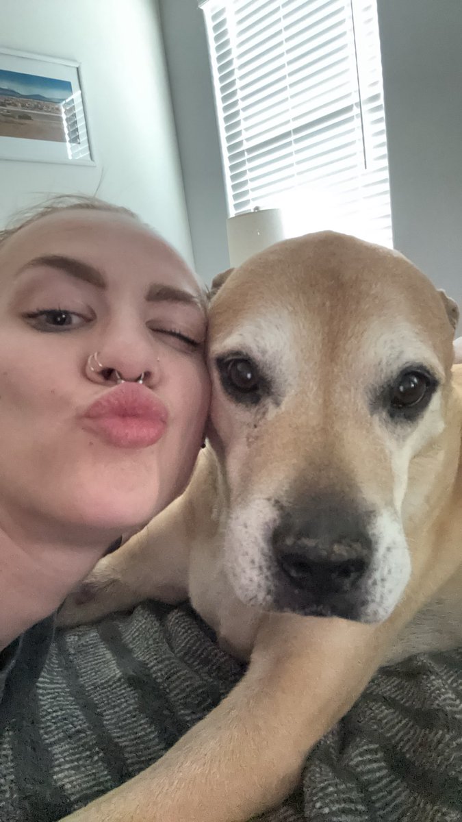 spooky soph tweet media