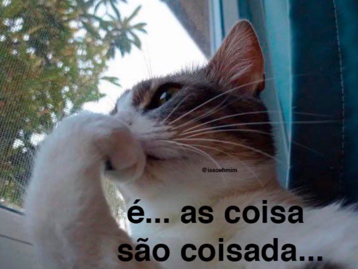 Shitpost só que de verdade (@shitpostverdade) on Twitter photo 