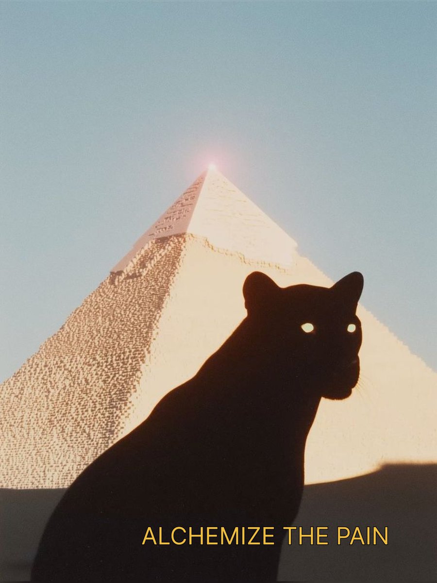 gusapps's tweet image. Everybody wants aura, but nobody wants to...