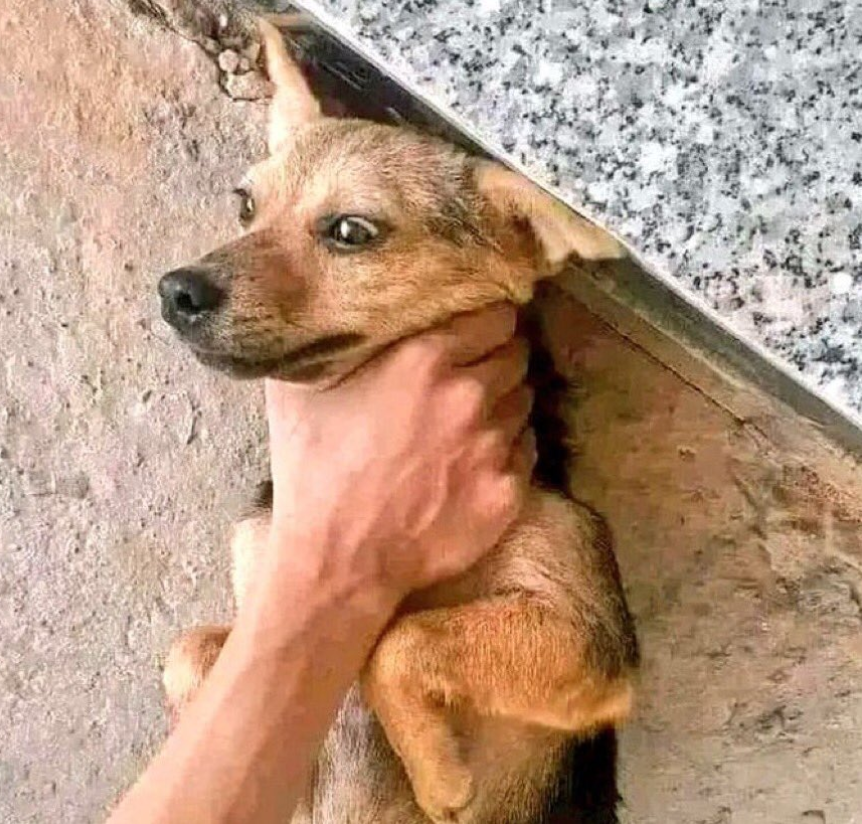 Ukora follow nange nkora back ubu niko ndigutwari bintu kuru mugoroba