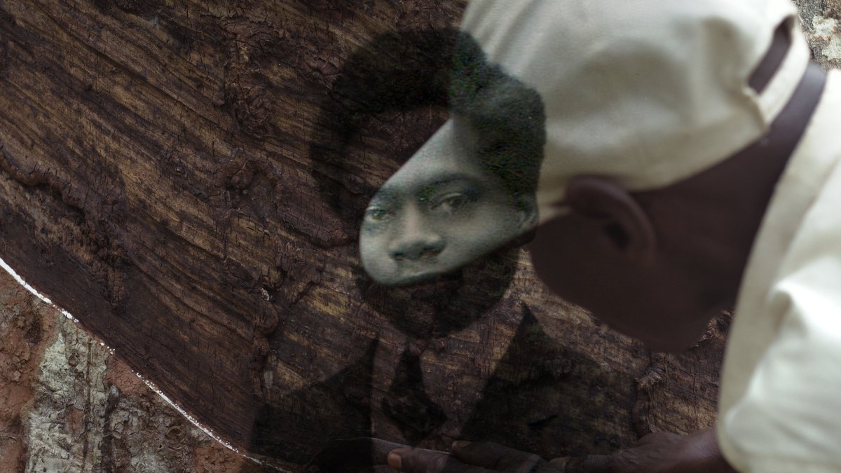 African Film Festival, Inc. tweet media