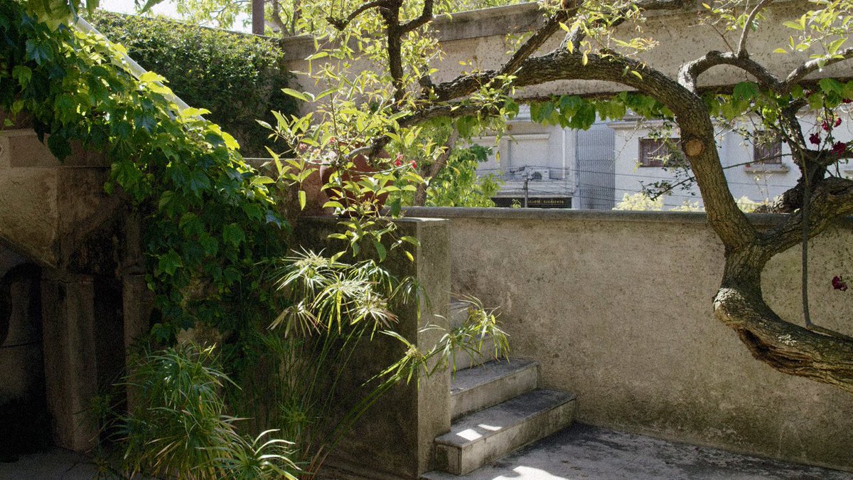 La Región Central Cineclub tweet media