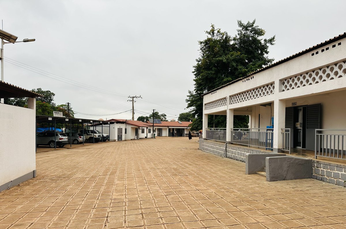 Alaidhy Sow tweet media