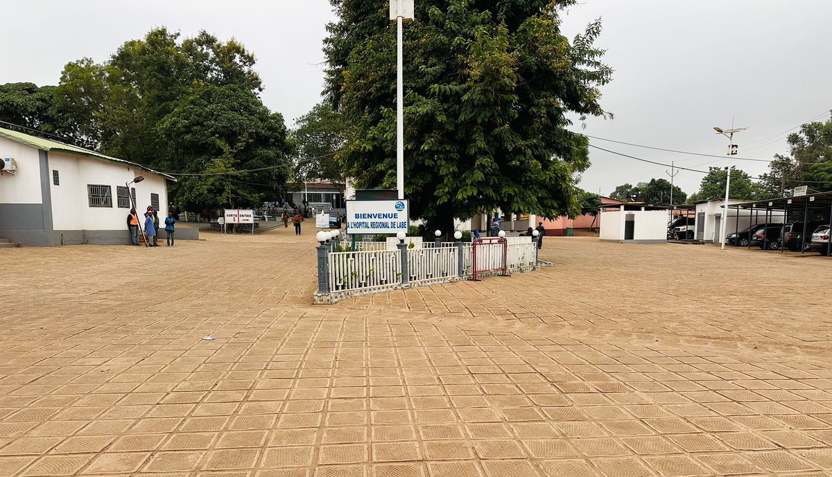 Alaidhy Sow tweet media