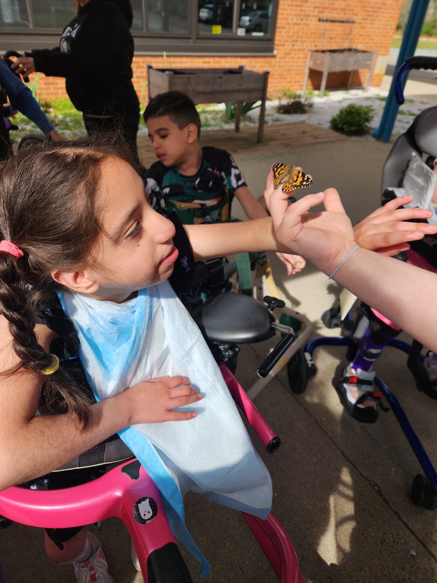 UCPofLongIsland (@ucpoflongisland) on Twitter photo Last week at The Children's Center, students explored the life cycle of a butterfly through stories, hands-on art, and real-life observation. With help from teachers and therapists. Each class watched their own caterpillars transform. Last week at The Children's Center, students explored the life cycle of a butterfly through stories, hands-on art, and real-life observation. With help from teachers and therapists. Each class watched their own caterpillars transform.