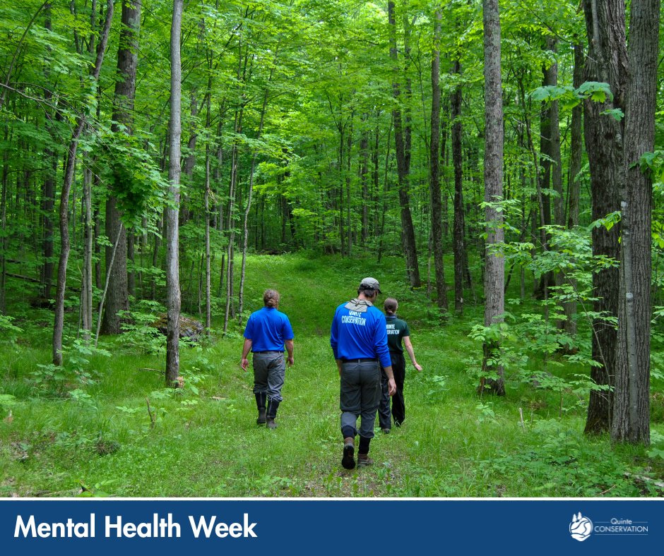 Quinte Conservation (@quinteca) on Twitter photo Did you know that spending time in nature promotes physical exercise, allowing your brain to release endorphins, positively affecting your mental health?🧠 Did you know that spending time in nature promotes physical exercise, allowing your brain to release endorphins, positively affecting your mental health?🧠