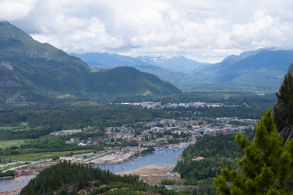 The BC Bird Trail tweet media