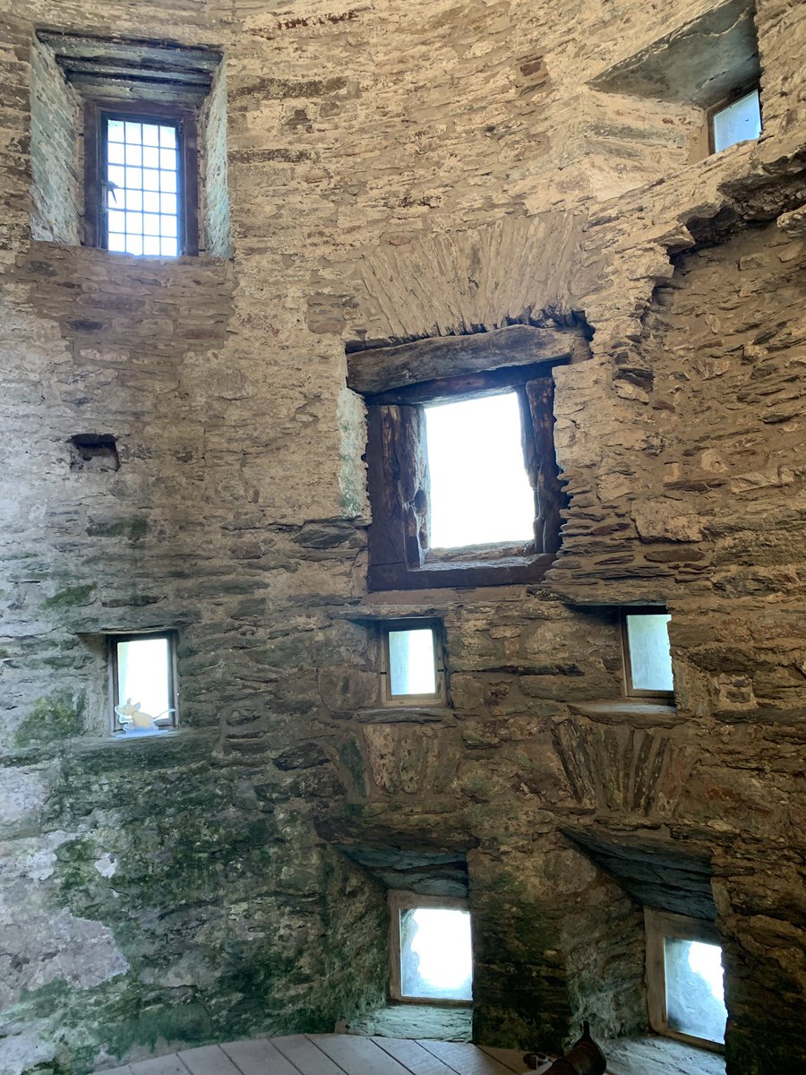 Sarah McIntyre tweet media