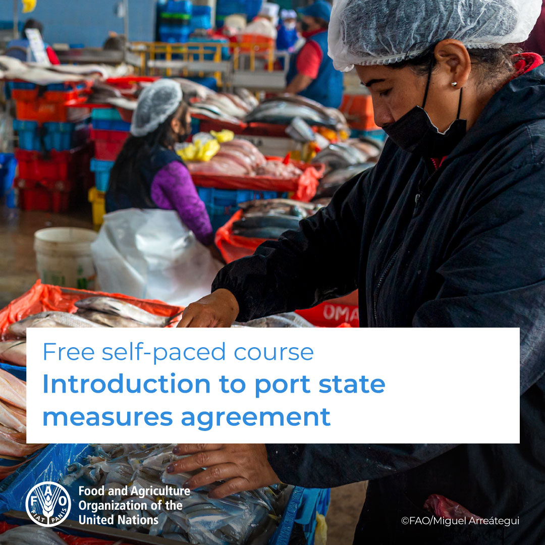FAO in the Caribbean (@faocaribbean) on Twitter photo ๐ Free self-paced course!
๐ ๐๐ฅ๏ธ
โ Introduction to Port State Measures Agreement #PSMA
Register now! โก๏ธow.ly/y5Ss50VARSE
<a href="/FAOfish/">Fisheries & Aquaculture</a> #BlueTransformation #IYAFA2022 #FightIUUFishing ๐ Free self-paced course!
๐ ๐๐ฅ๏ธ
โ Introduction to Port State Measures Agreement #PSMA
Register now! โก๏ธow.ly/y5Ss50VARSE
<a href="/FAOfish/">Fisheries & Aquaculture</a> #BlueTransformation #IYAFA2022 #FightIUUFishing