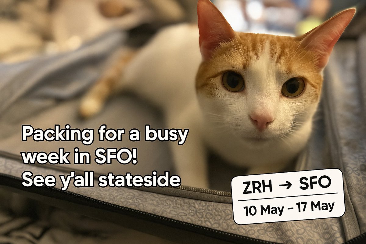 Two for SFO 🐈 🤓