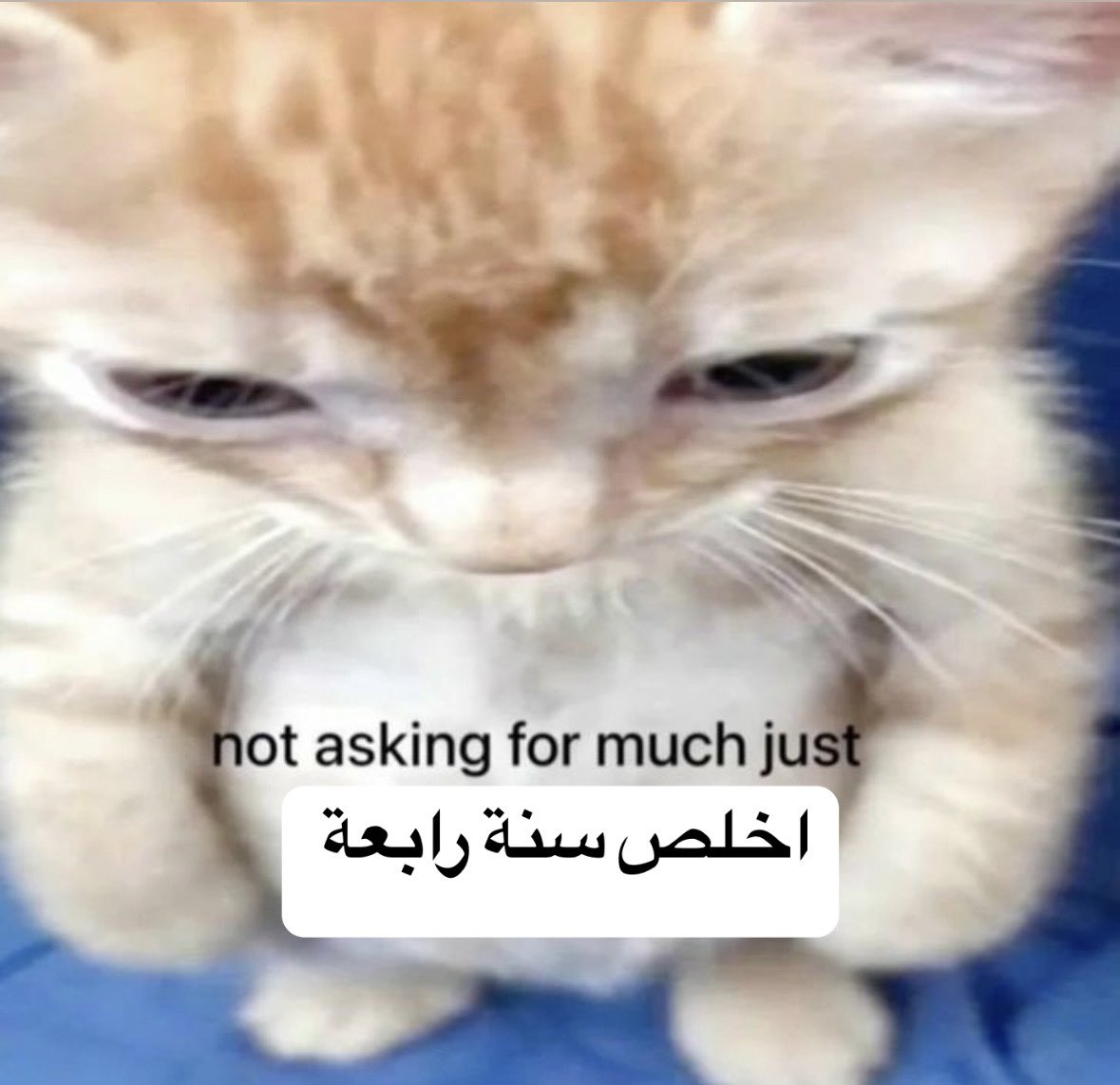 نُور🕊️ (@noorhesham215) on Twitter photo 