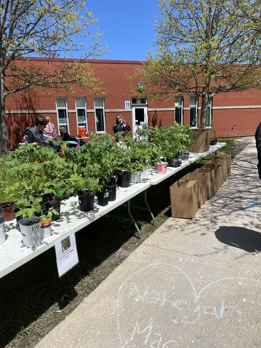 Lauren McArdle tweet media