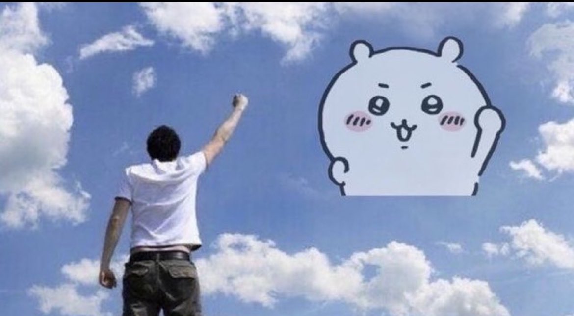 momonga fan account tweet media