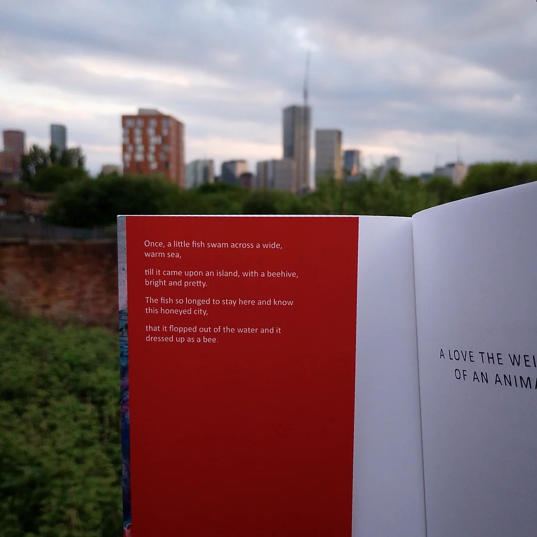 Elizabeth Gibson (they/them) ๐ (@grizonne) on Twitter photo Such an amazing, once-in-a-lifetime moment to hold my first book in my hands! โบ๏ธ It is so gorgeous, with its cover flaps and beautiful illustrations by <a href="/mklfreeman/">Michelle Freeman</a> โค๏ธ It is coming out 3rd July, but you can preorder it now for the special price of ยฃ7! ๐ฆ confingopublishing.uk/product-page/aโฆ โจ Such an amazing, once-in-a-lifetime moment to hold my first book in my hands! โบ๏ธ It is so gorgeous, with its cover flaps and beautiful illustrations by <a href="/mklfreeman/">Michelle Freeman</a> โค๏ธ It is coming out 3rd July, but you can preorder it now for the special price of ยฃ7! ๐ฆ confingopublishing.uk/product-page/aโฆ โจ