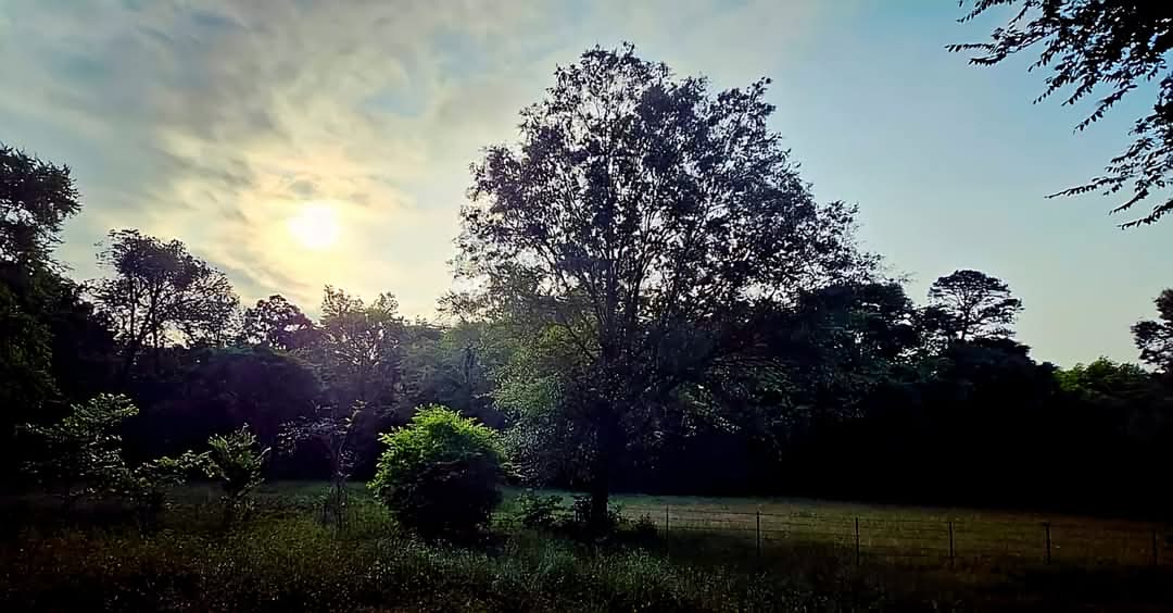 "I hear this most gentle whisper from One I never guessed would speak to me." Psalm 81:5 (Msg) #godsvoice #hisgentlewhisper