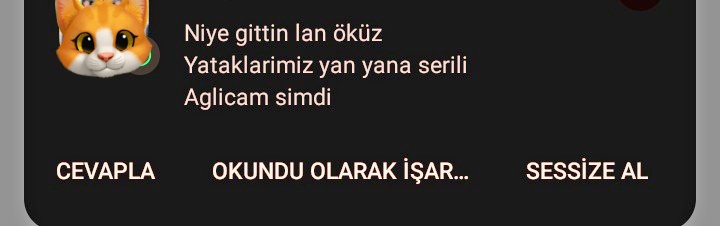 useer910833's tweet photo. Uzak mesafe kuzenimle ayrıldığımız sabah... mesajı okuyup yol boyu agladim sakasiz 🥹 https://t.co/WMs3Oupe3v