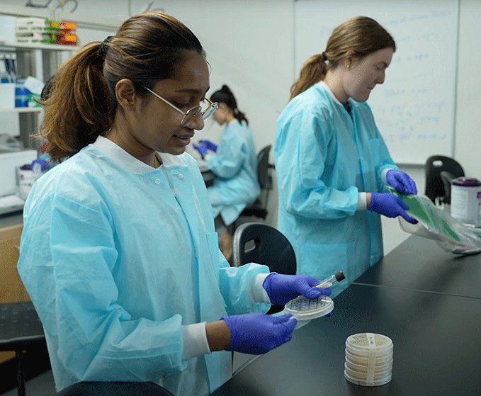 An innovative new program allows UTSA students to collect local soil samples and search for microorganisms that could lead to the discovery of new antibiotics. #UTSA #UTSAResearch

Learn more: tinyurl.com/6hxs53kp