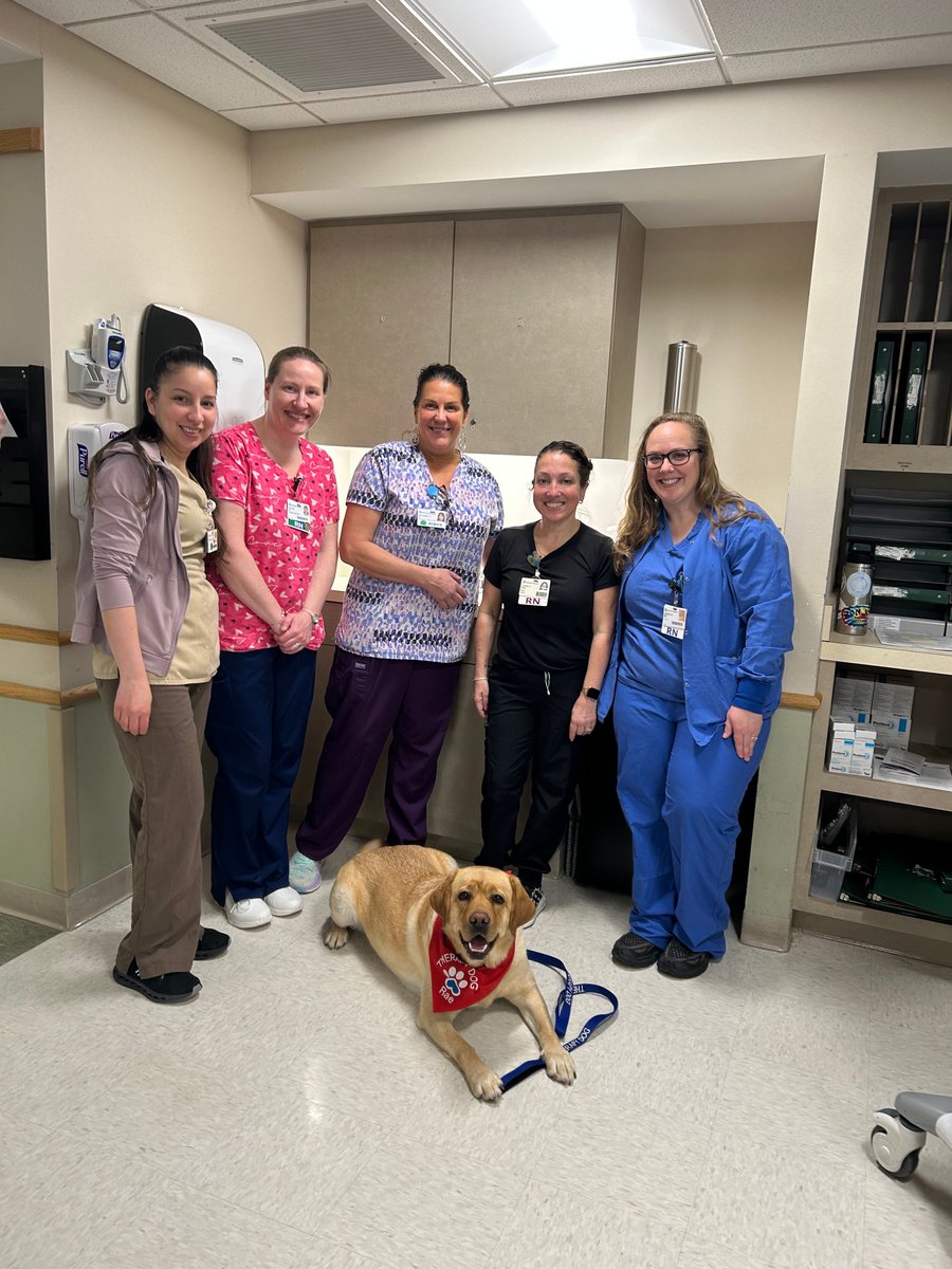 This week, we had a paws-itively wonderful visitor! Rae the therapy dog joined us for Nurses' Week, bringing comfort and smiles. Thank you, nurses, for your compassion! #HeywoodHealthcare#NursesWeek #TherapyDogLove #ThankYouNurses #RaeTheTherapyDog
