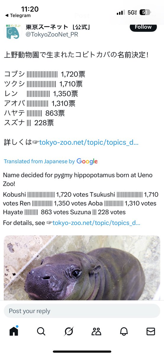 slushjuic3's tweet image. $kobushi next #moodeng

DCrwhb7f6LL4dtvsTty1PwT2wL5AoxHzuwYMUqM5pump