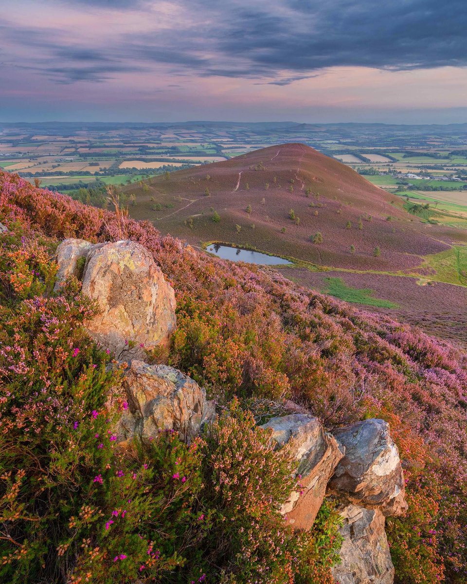 VisitScotland (@visitscotland) on Twitter photo Have you ever seen a bonnier view than #Scottish heather?! 🙌 This hardy plant can be found colouring our lovely landscapes during the late summer months 💜🌿
📍 Eildon Hills, <a href="/HereScotland/">Discover South Scotland - Scotland Starts Here</a> 📷 IG/a_mac_photo Have you ever seen a bonnier view than #Scottish heather?! 🙌 This hardy plant can be found colouring our lovely landscapes during the late summer months 💜🌿
📍 Eildon Hills, <a href="/HereScotland/">Discover South Scotland - Scotland Starts Here</a> 📷 IG/a_mac_photo