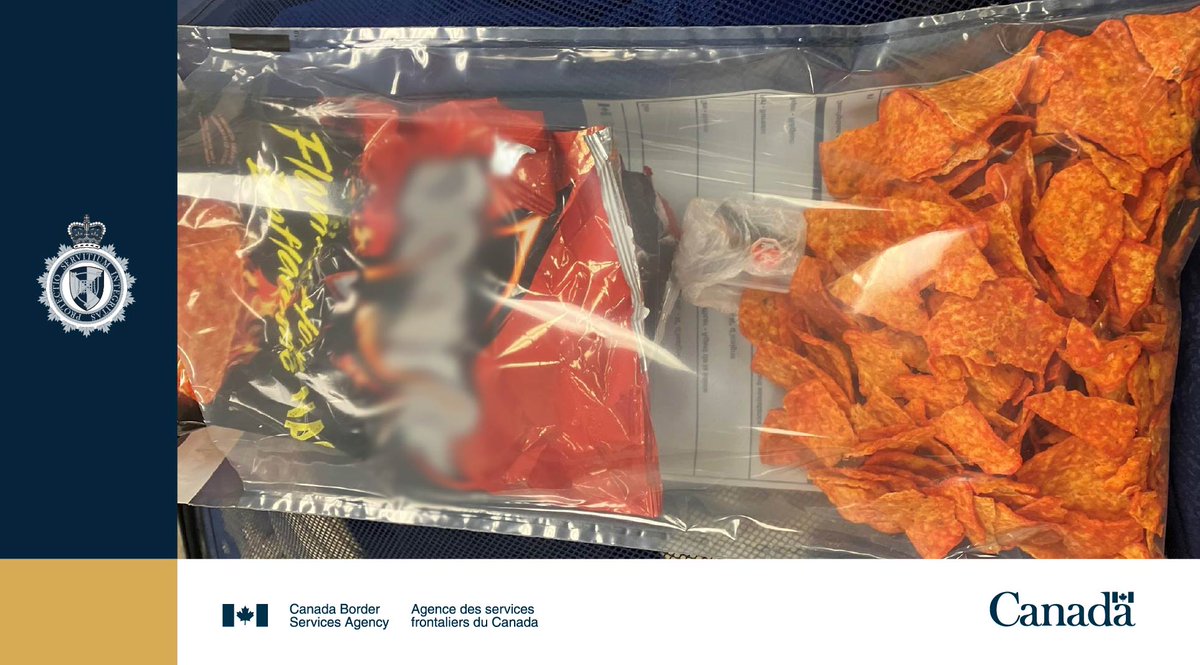 CanBorder's tweet image. #CBSA #DetectorDog Shakira made her 12th seizure of the year by sniffing out a cache of Hashish hidden in a bag of chips at @FlyYOW! These dogs are trained to combat illegal activity. More: cbsa-asfc.gc.ca/security-secur…