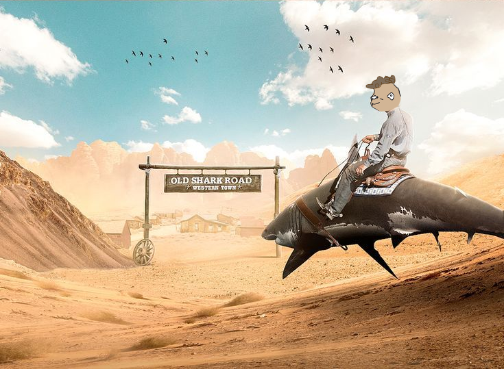 Riding sharks through liquidity deserts.
Gas fees? Dust.
Narrative? Unknown.
Destination? Full send.