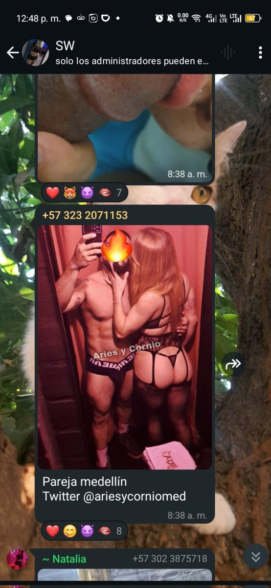 Buenas tardes! 
Les comentamos que hay un grupo de WhatsApp donde se comparte nuestro contenido SIN AUTORIZACIÓN! 🤬🤬🤬
Ahí les dejamos el número que comparte nuestras cosas ! Por si alguien sabe algo de eso ! Nos cuenten porfa!🤗
(Si le quieren dejar un madrazo! Gracias) ✌️⚡️🔥