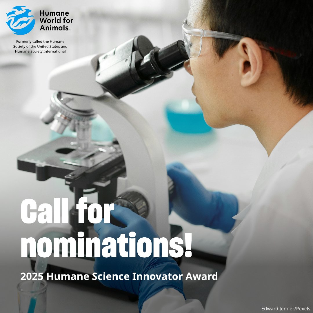Animal-Free Safety Assessment (AFSA) Collaboration (@afsacollab) on Twitter photo #BioMed21 founding member, <a href="/humaneworldorg/">Humane World for Animals</a>, is accepting nominations for the 2025 Humane Science Innovator Award (formerly Russell & Burch Award), honouring scientists advancing animal-free research & testing.
Deadline: June 6, 2025
Details: humaneworld.org/sites/default/… #BioMed21 founding member, <a href="/humaneworldorg/">Humane World for Animals</a>, is accepting nominations for the 2025 Humane Science Innovator Award (formerly Russell & Burch Award), honouring scientists advancing animal-free research & testing.
Deadline: June 6, 2025
Details: humaneworld.org/sites/default/…