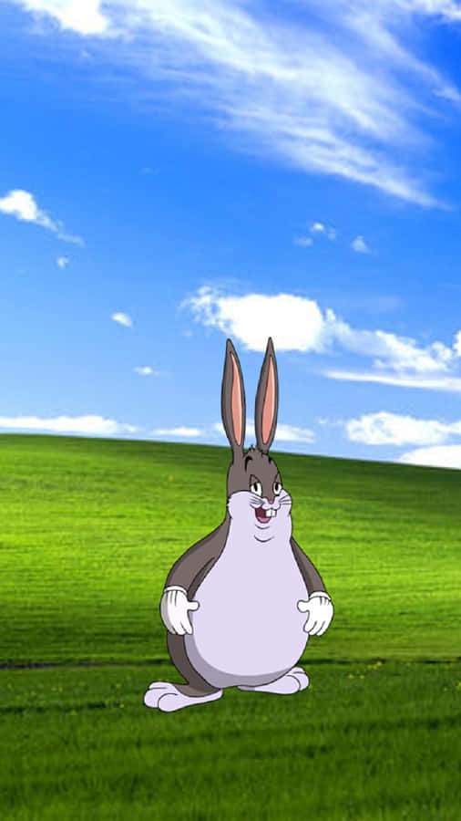 Big Chungus (🐰,🥕) tweet media