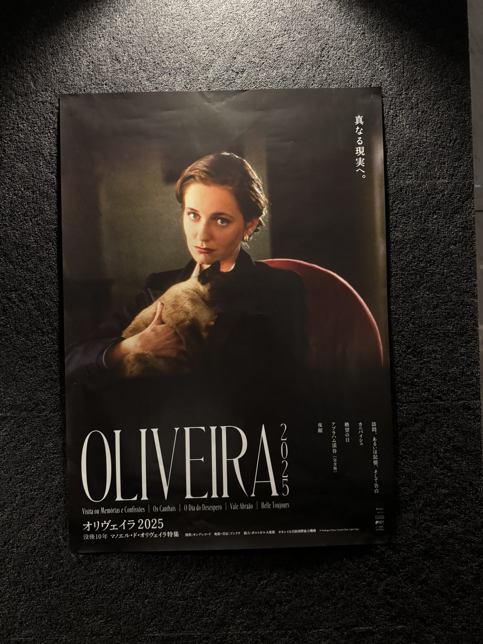 アブラハム渓谷 DVD マノエル ド オリヴェイラ 廃盤 希少 Amazon.co.jp: アブラハム渓谷 [DVD] : レオノール