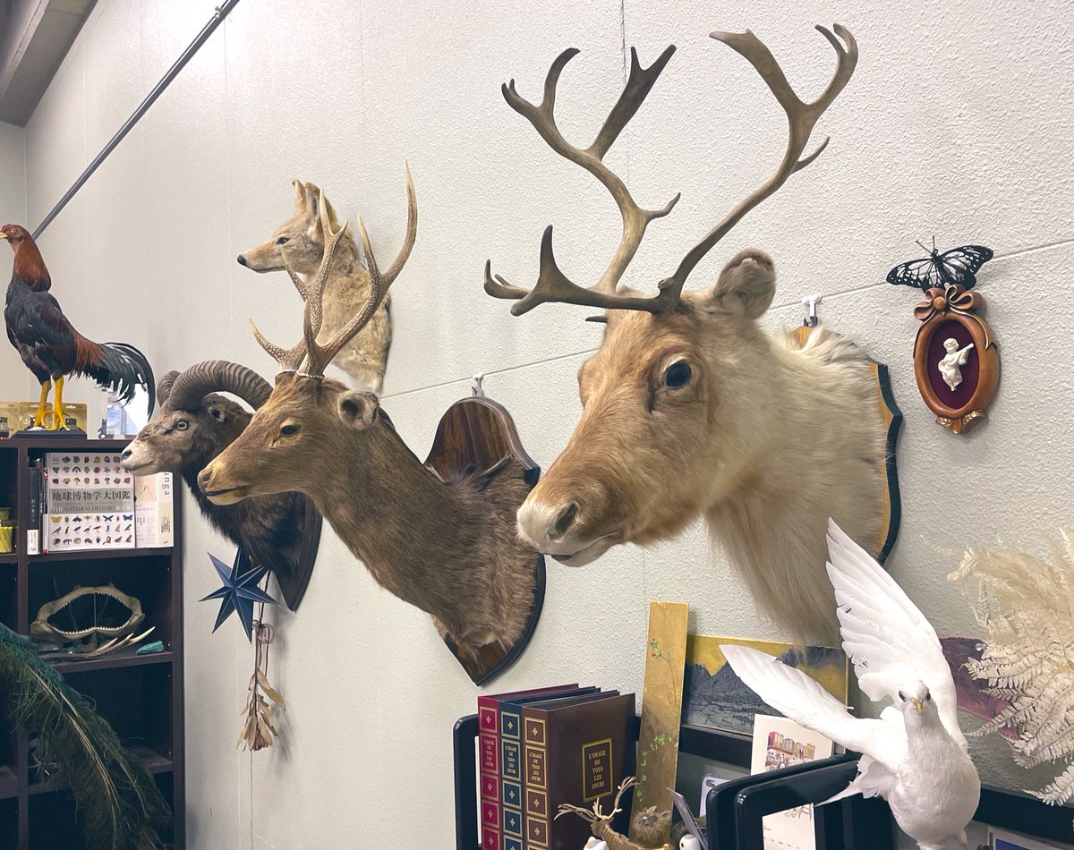 大学の先生の研究室ディズニーよりたのしい