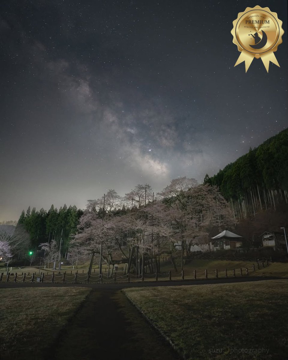 nekocafe_star's tweet image. 5月10日、星空gallery
「今日の1枚」より
📷photographer : @suzugongon1112
instagram.com/p/DJc3tnIhR37/
#猫のいる星空cafe