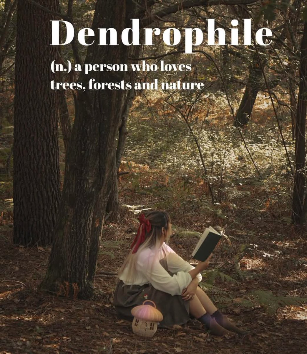 ᴡᴀɴᴅᴇʀ☀︎︎ʟᴏsᴛ 🌿 tweet media