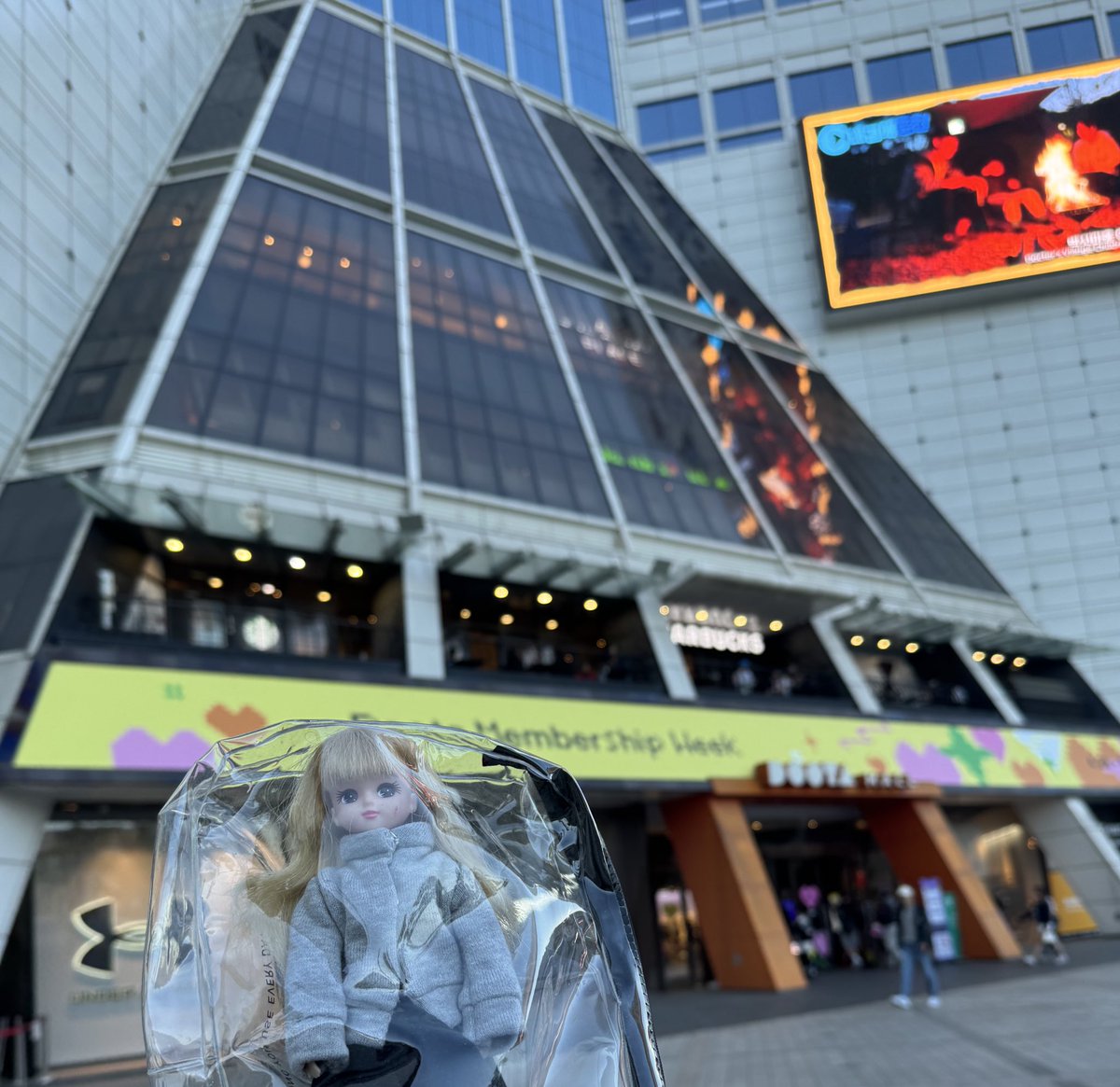 ドゥータモールwithリカちゃん
#ドル旅
韓国みあふれるところでサッと撮影したらこうなりました