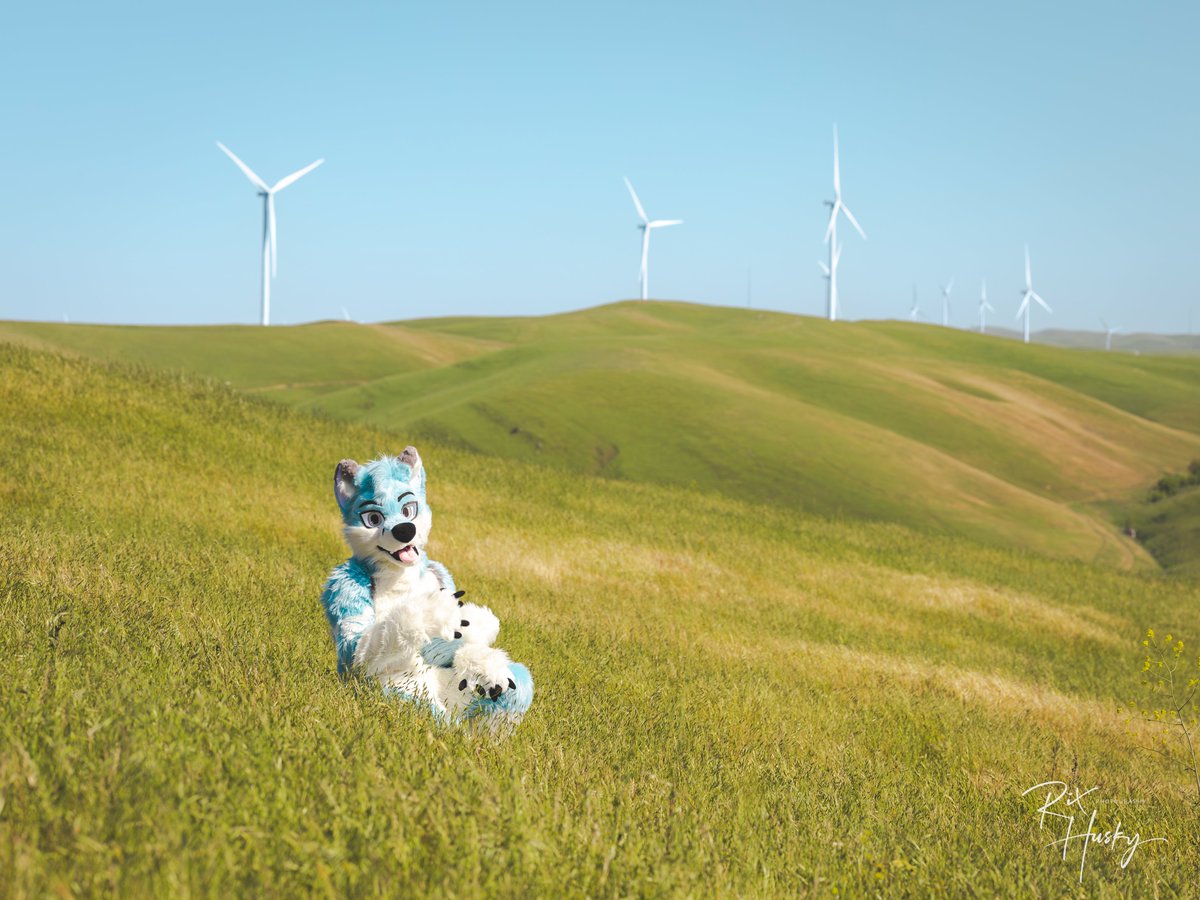fox sitting by the green hillside 🍃💚 

📸: <a href="/RixHusky/">Rix</a> 
🧵🪡✂️: <a href="/wolf_daz/">Daza 🔮 GOH BKB</a> 

#FursuitFriday