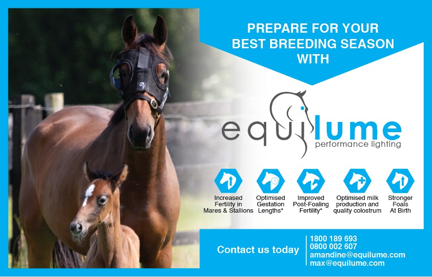 🔵 Prepare for your breeding season with <a href="/equilume/">Equilume</a> performance lighting💡

✅ Increased Fertility in Mares &amp; Stallions
✅ Optimised Gestation Lengths*
✅ Improved Post-Foaling Fertility*
✅ Optimised milk production and quality colostrum
✅ Stronger Foals At Birth