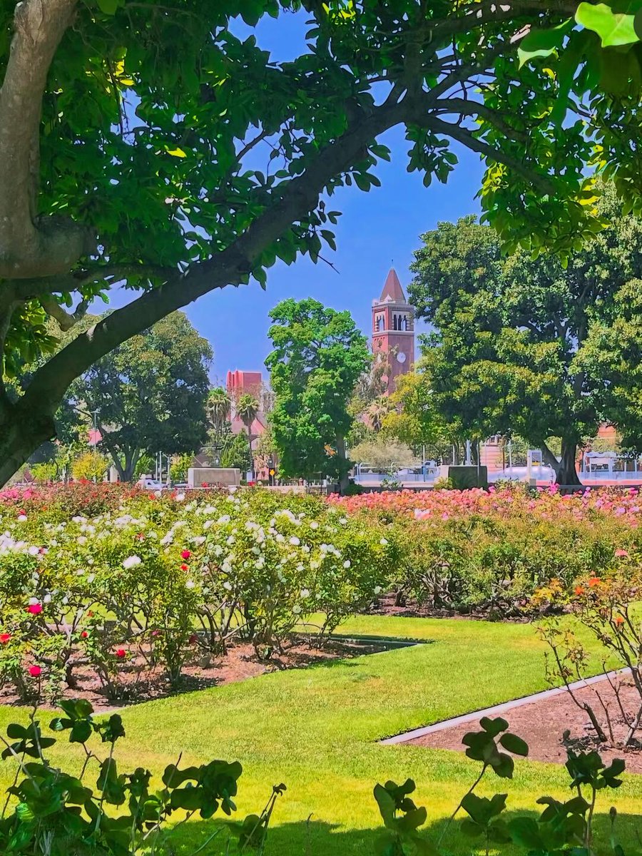 grumpy_andy07's tweet image. Thousands of roses are in bloom, and LA has its own Monet Garden. Spring gave me the best gift